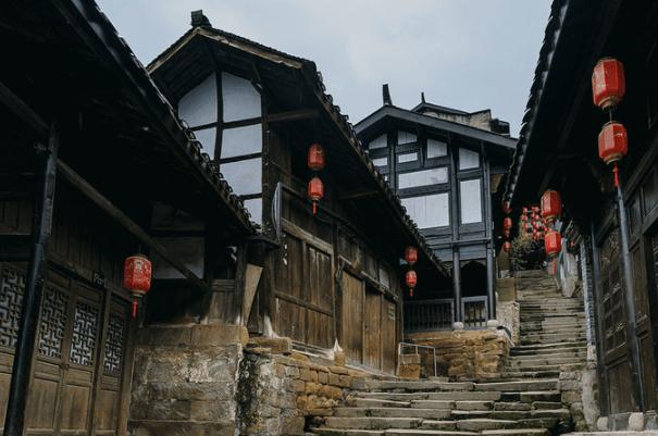 逃离泰莱森林